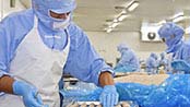 Factory workers sorting eggs in refrigerated area