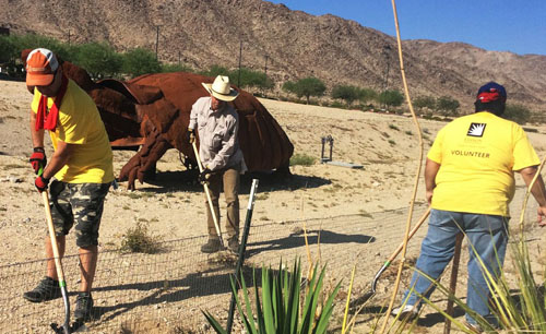 29 Palms Indian Reservation Tortoise Rescue